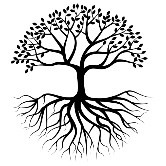 On rooted trees and differentiation